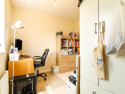 Picture 13